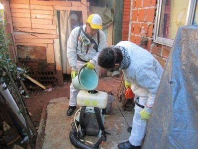 Salud P�blica confirma 42 casos de dengue en Posadas