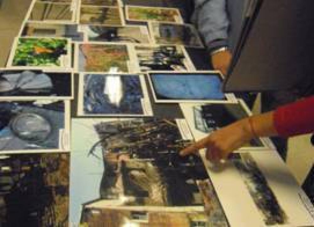 La muestra A un puente de distancia se expondr� hasta el 30 de mayo