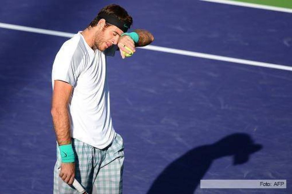 Por consejo m�dico, Del Potro regresar� a la Argentina para recuperarse de un cuadro vir�sico