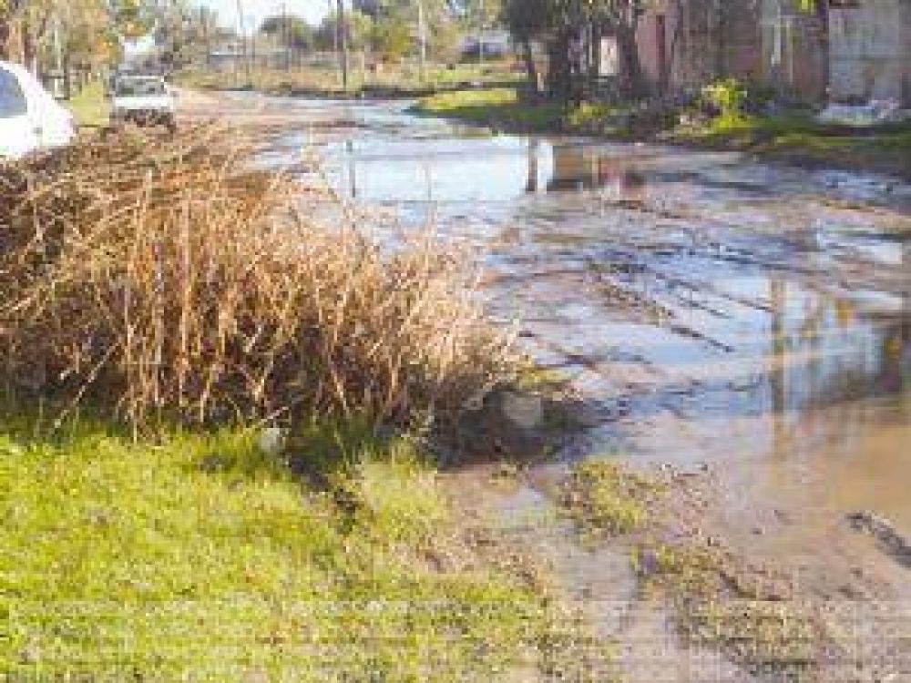 Agua y ramas se acumulan en calles del �Bicentenario�