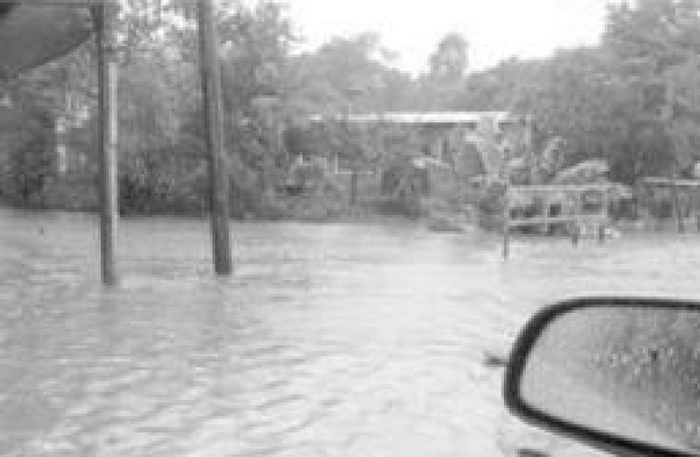 Intensas lluvias provocaron inundaciones en varios barrios de Puerto Iguaz�