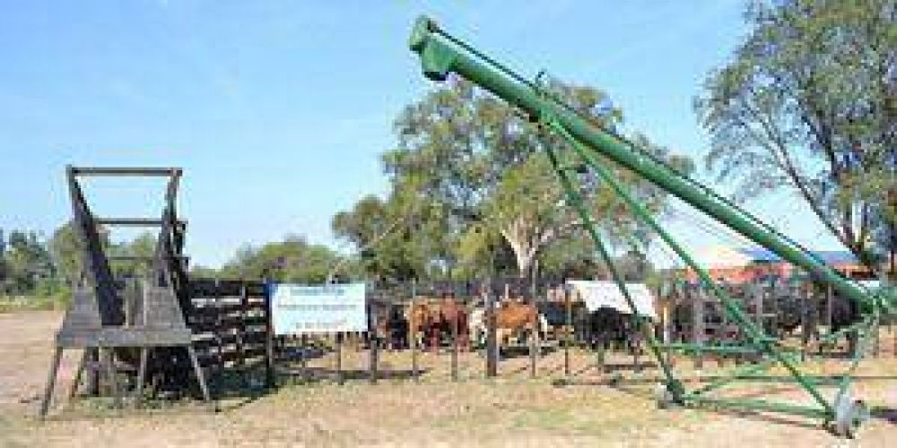 Cr�ditos para productores de La Estrella