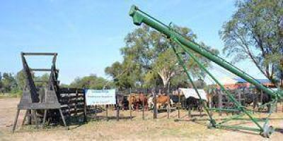 Cr�ditos para productores de La Estrella