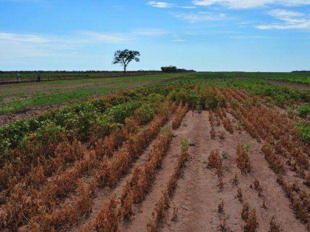 Limitan a $500.000 los cr�ditos para productores de Salta afectados por la sequ�a
