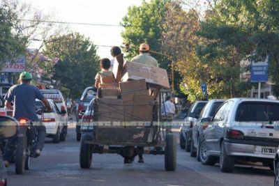 Carros: protectores de animales entregaron propuesta