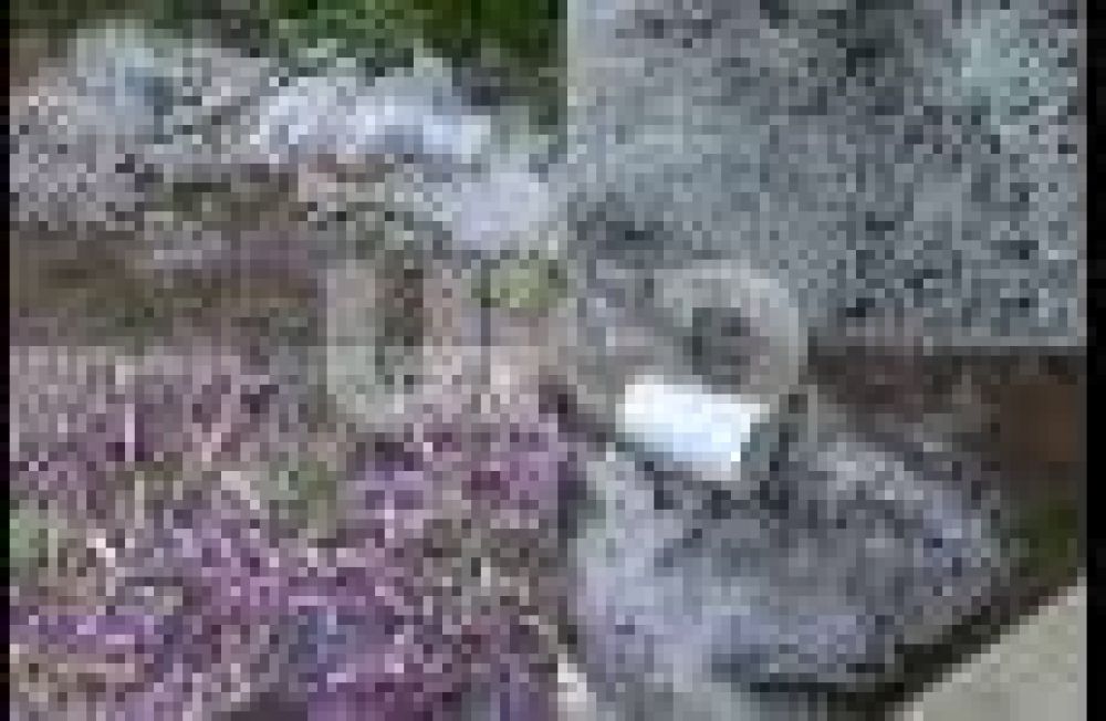 El granizo sorprendi� a los vecinos de los barrios del norte de la ciudad