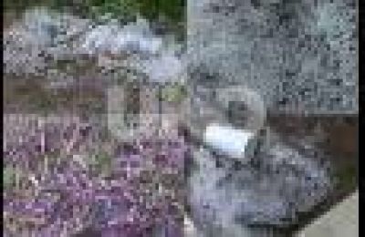 El granizo sorprendi� a los vecinos de los barrios del norte de la ciudad