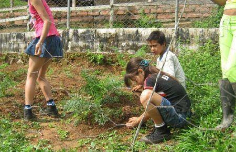 Escuelas de Mendoza participar�n de un encuentro de �Huertas Escolares�
