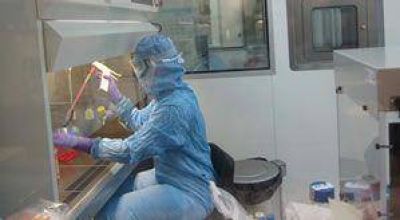 Riesgos ante la clonaci�n de vidas humanas�