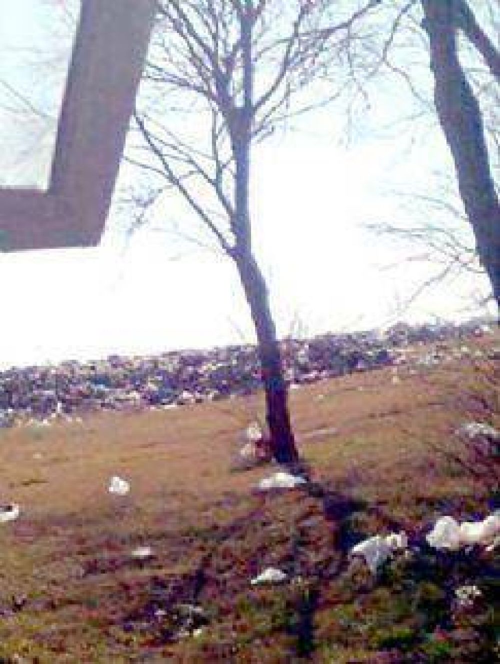 La Municipalidad respondi� sobre el mal manejo de pat�genos en el basural