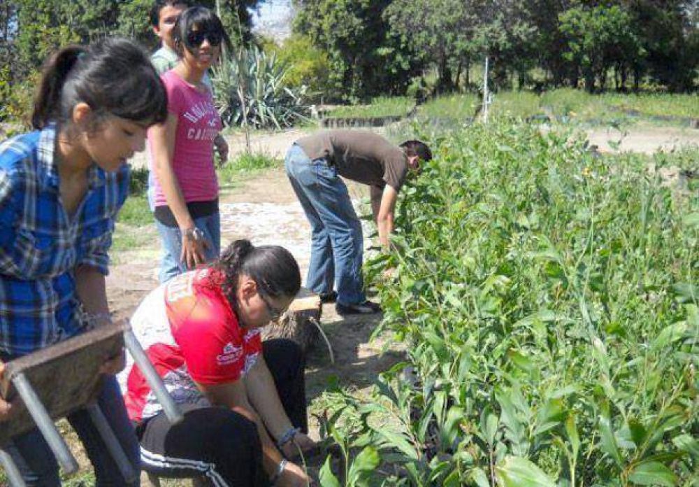 La demanda de oficios en Gualeguaych� excede ampliamente la oferta existente