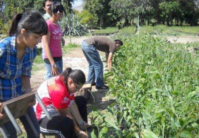 La demanda de oficios en Gualeguaych� excede ampliamente la oferta existente