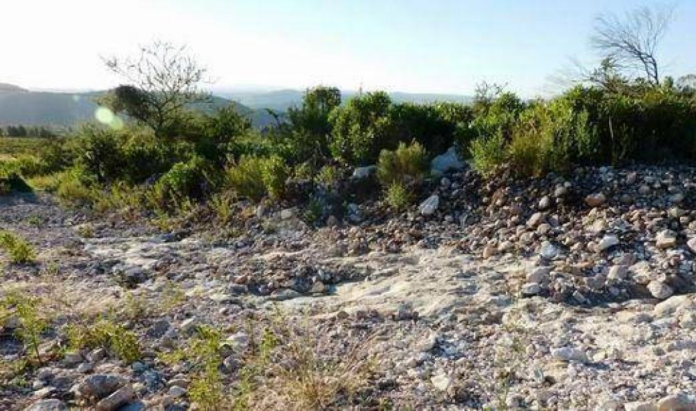Denuncian que penas por desmontes son irrisorias y no se cumplen