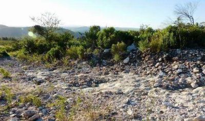 Denuncian que penas por desmontes son irrisorias y no se cumplen