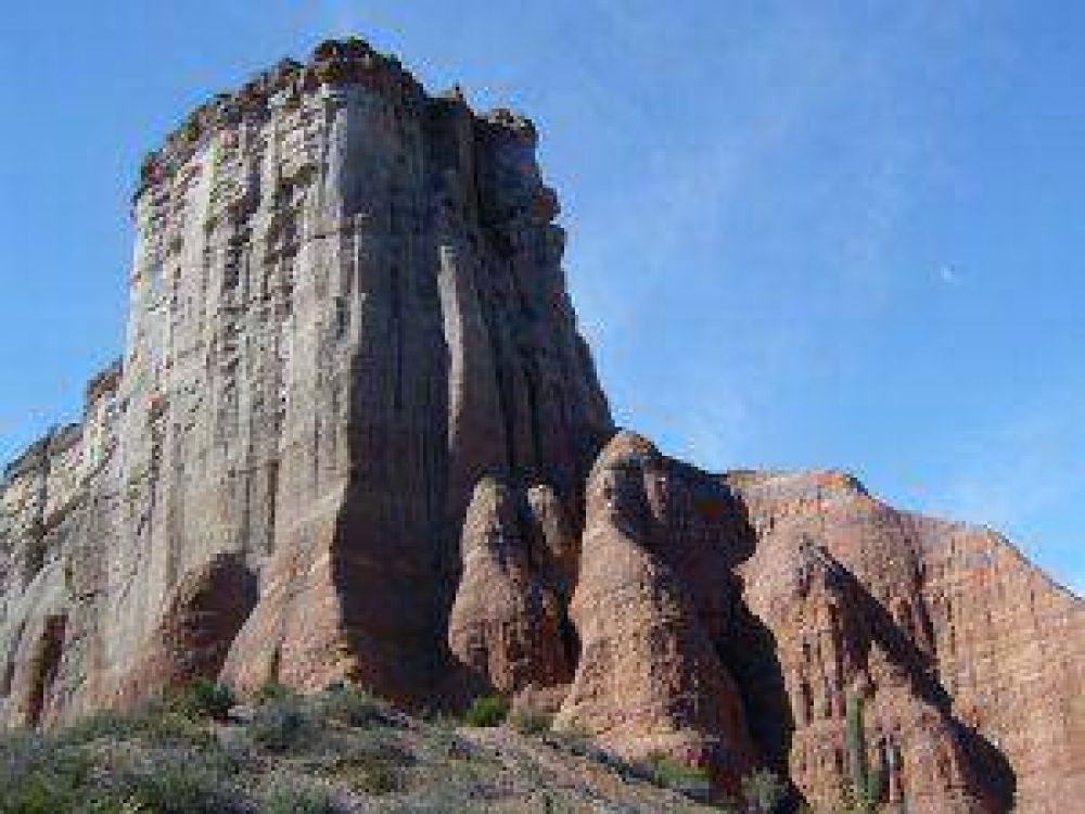 UN VIAJE A LOS OR�GENES