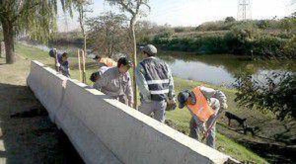 Purifican el ambiente en los barrios con otros 500 �rboles