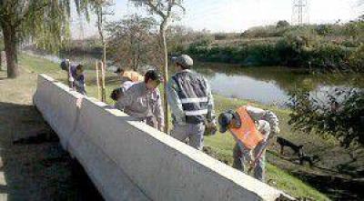 Purifican el ambiente en los barrios con otros 500 �rboles