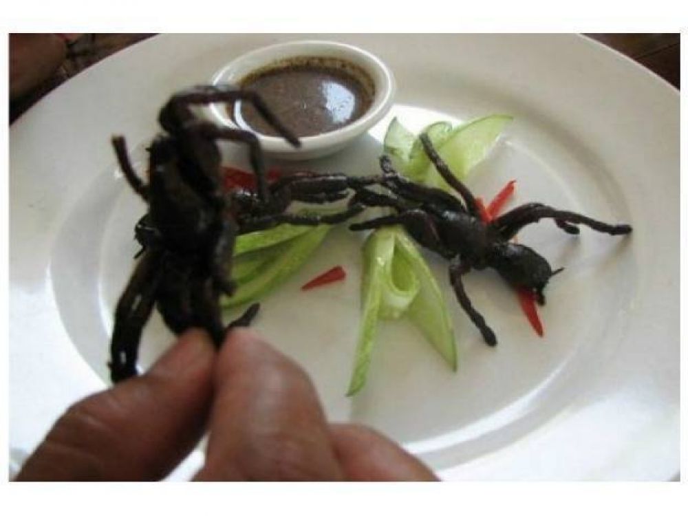 En la regi�n costar� imponer la pr�ctica de comer insectos