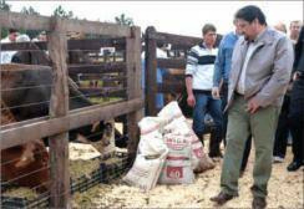 Closs destac� que Misiones es la provincia que m�s creci� para lograr el autoabastecimiento productivo