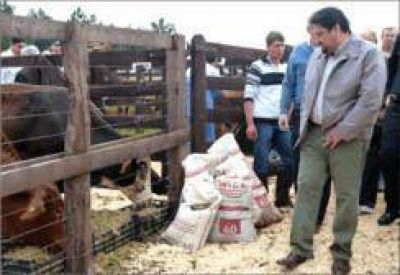 Closs destac� que Misiones es la provincia que m�s creci� para lograr el autoabastecimiento productivo