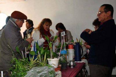 Masiva concurrencia en la primera �Feria de Productos Locales�