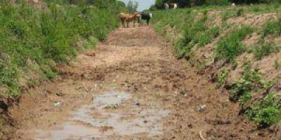 Insfr�n declar� la emergencia agropecuaria