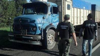 Afip detect� casi 4.000 toneladas de granos en negro