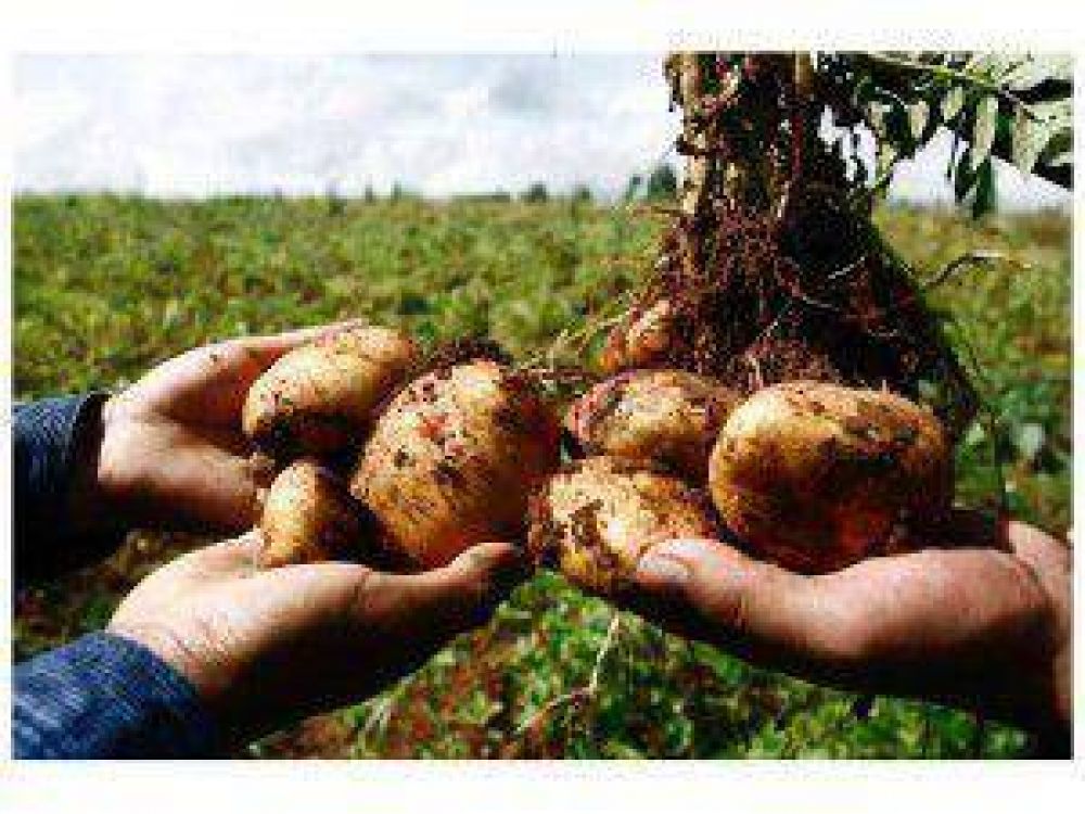 Afirman que la clave no est� en la pesca sino en el cord�n frutihort�cola