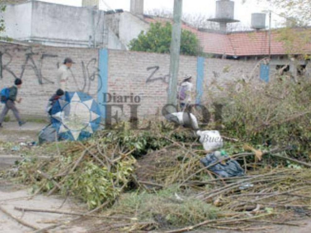 Ramas y basura en barrios de Solano
