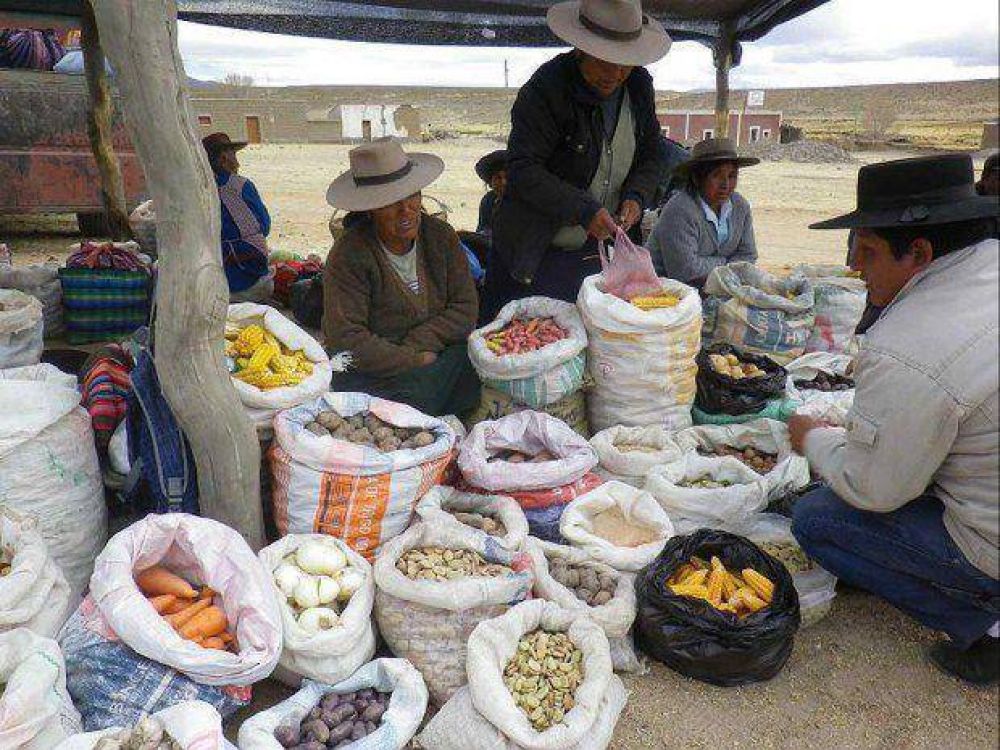 Exitosa Expo Feria de productores ganaderos