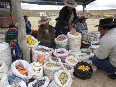 Exitosa Expo Feria de productores ganaderos