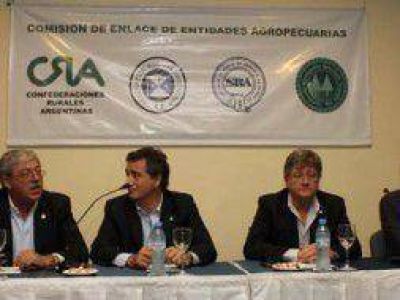 Mesa de Enlace define medidas de fuerza en Jun�n