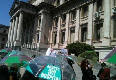 La Provincia acatar� �por el momento� el fallo que declar� inconstitucional la gu�a para la aplicaci�n de abortos no punibles