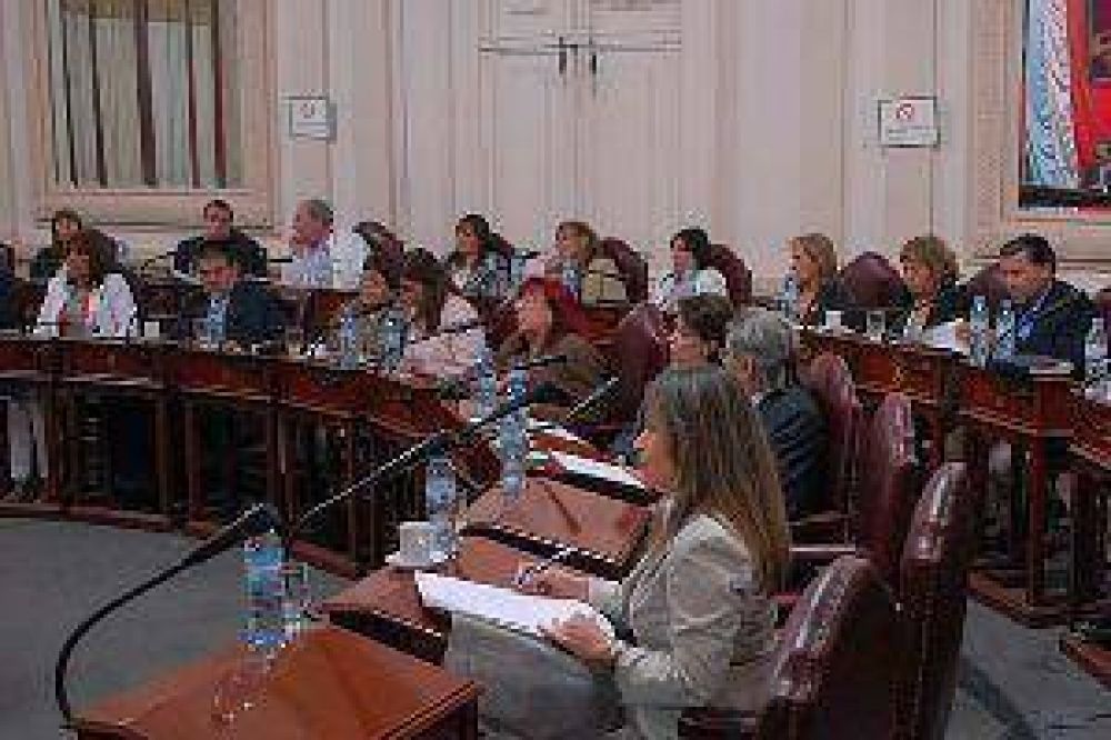La pol�mica por la presentaci�n de buzos lleg� a Diputados