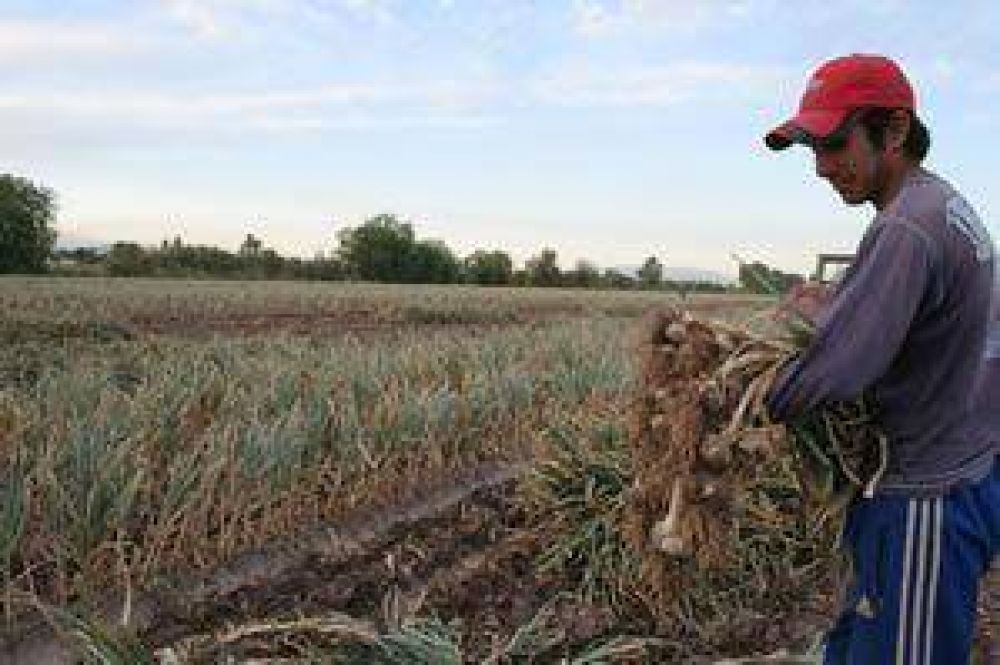  Productores suman fr�o a la producci�n primaria		