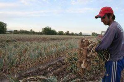  Productores suman fr�o a la producci�n primaria		