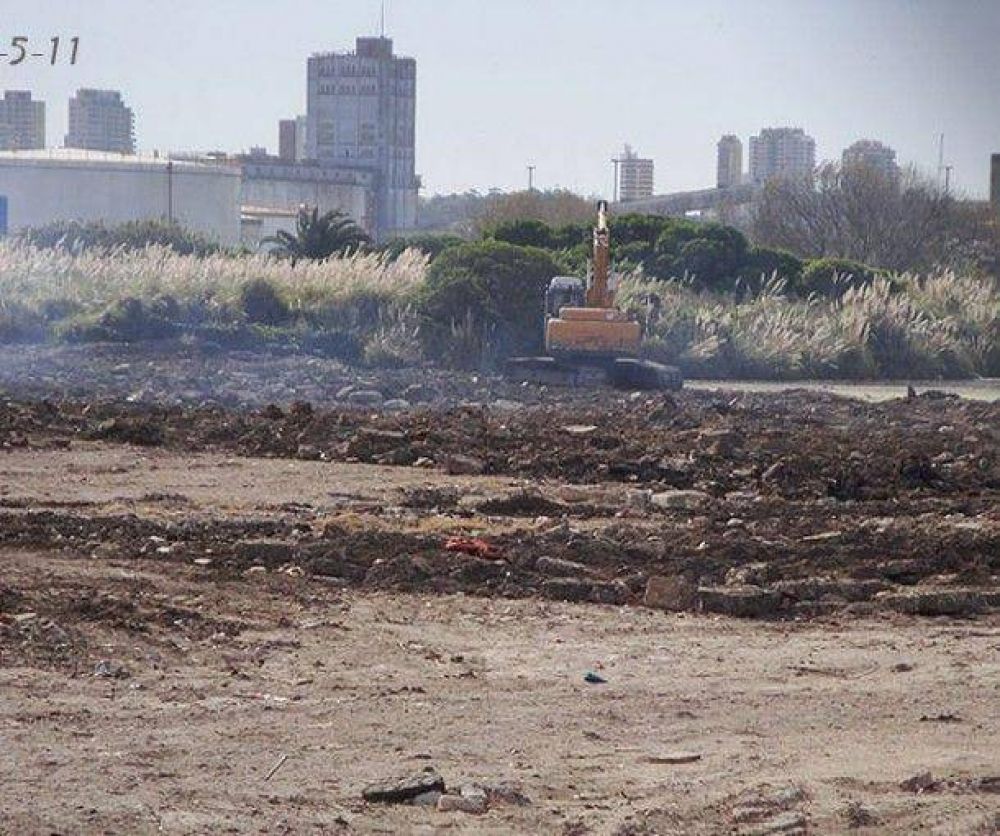 Reserva del Puerto: Greenpeace le exige al Senado que la declare provincial