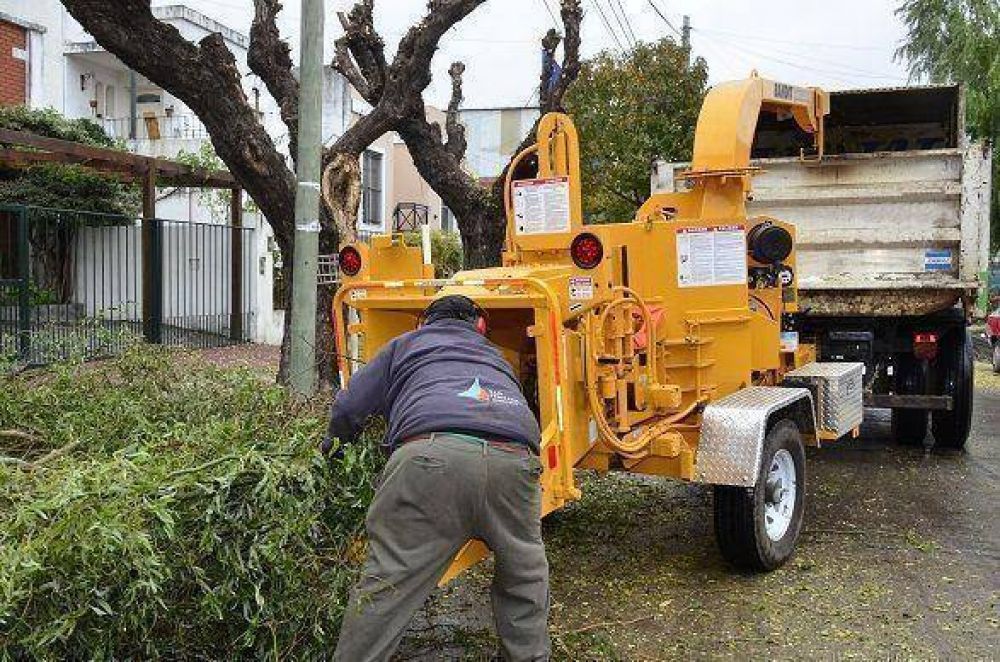 Contin�a el Plan Integral de Poda en diferentes zonas de San Fernando