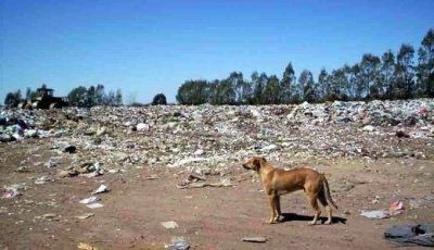 Naci�n financiar� la planta recuperadora de residuos s�lidos de San Francisco