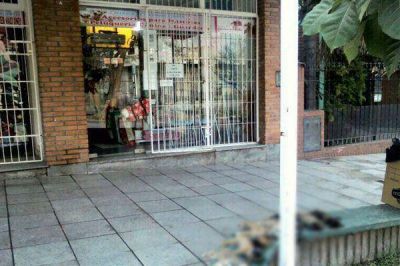 Atroz: matan cachorros a ladrillazos en la puerta de una veterinaria