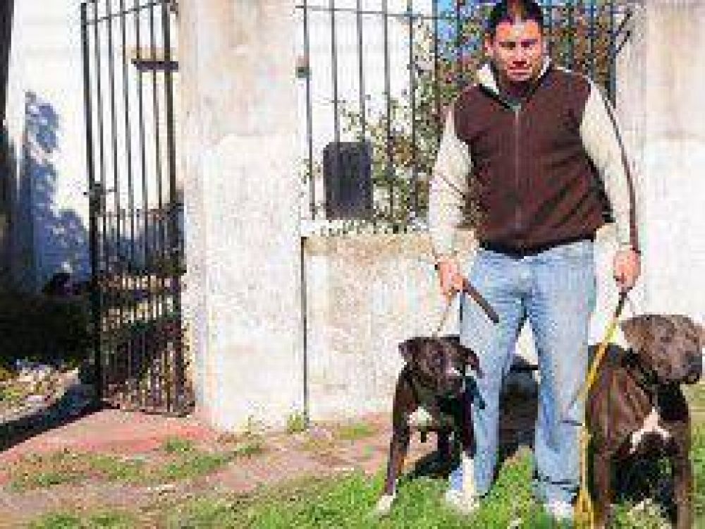 Quilmes: Entr� a robar, lo atacaron dos pitbulls y lo termin� salvando el due�o de casa