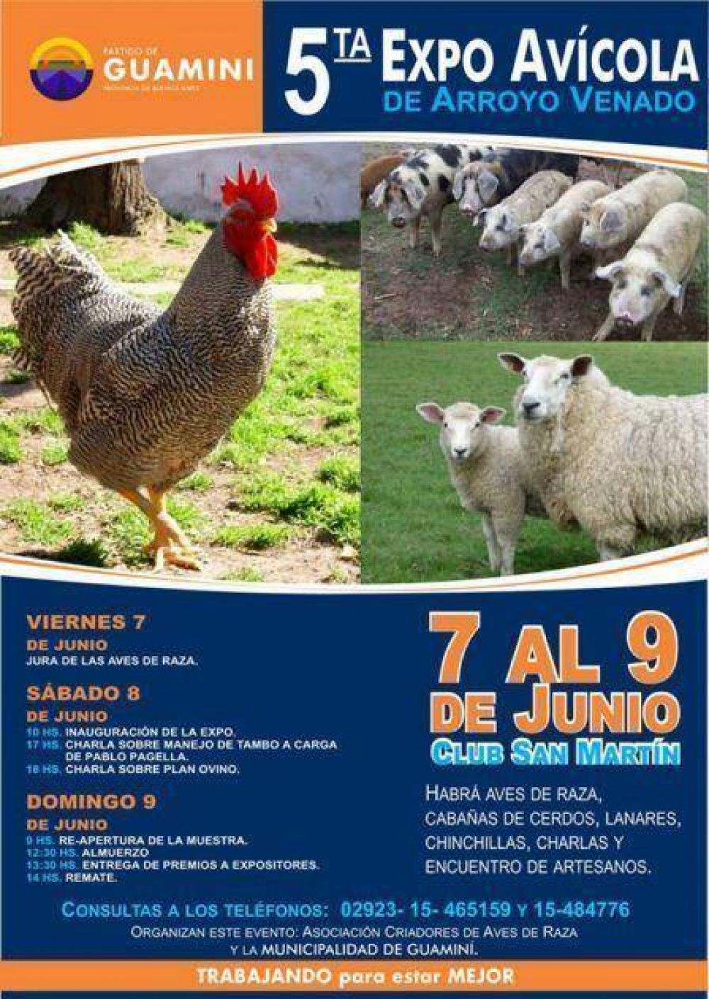 Habr� una expo av�cola en Arroyo Venado