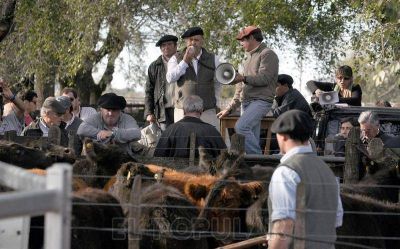 Comenzaron los remates de La Naci�n Ganadera y este jueves es la apertura oficial