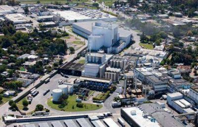 Mastellone compra una f�brica en San Luis y expande su negocio en alimentos
