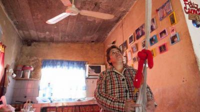 Un mono incautado abre discusi�n por el mascotismo