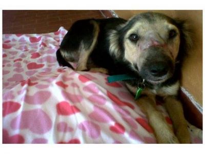 Lupe empieza un nueva vida estrenando casa y familia