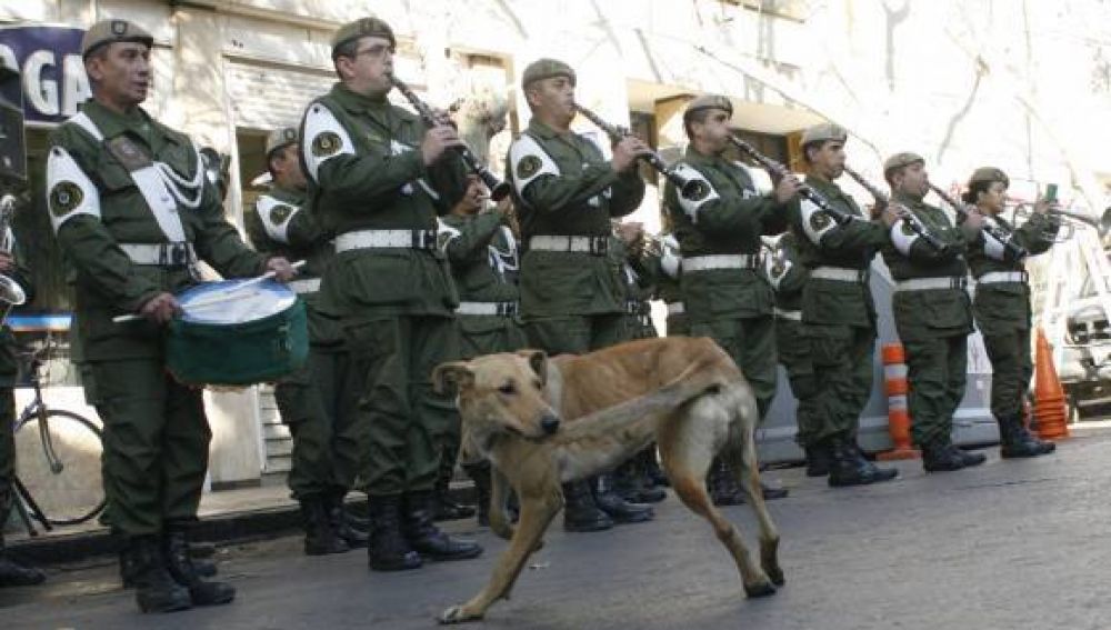 Un perro de la calle, la estrella que deslumbr� durante el Peric�n