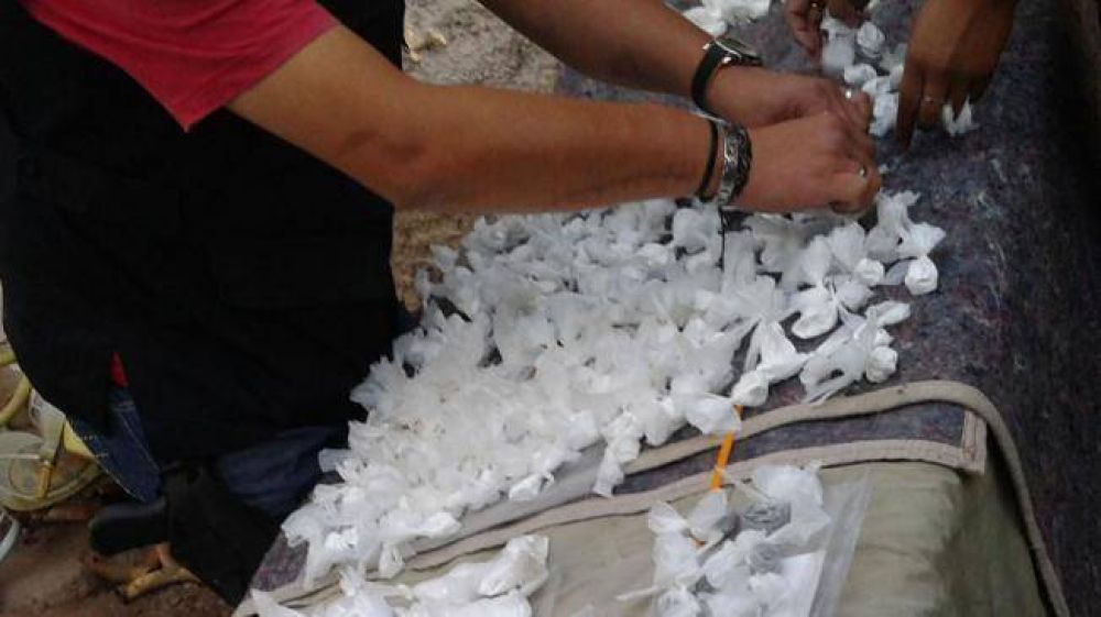 Ocho detenidos y 2.495 dosis de coca�na