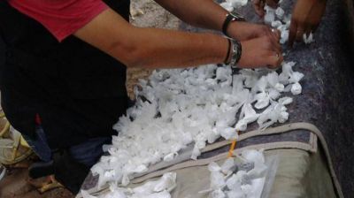 Ocho detenidos y 2.495 dosis de coca�na