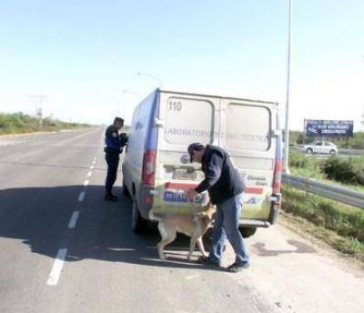 La polic�a realiz� extensos operativos de prevenci�n e incaut� droga